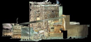 Colorized Point Cloud of Plant Overview.JPG