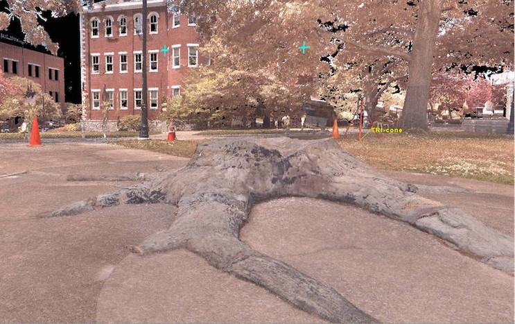 laser-scanning-for-mesh-file-5.jpg
