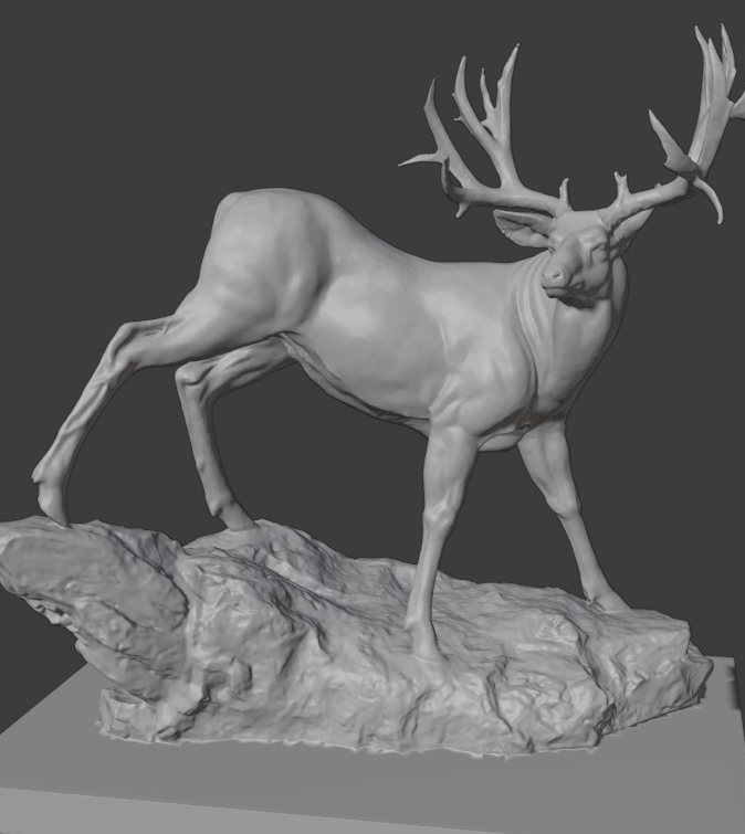 mesh of animal.png