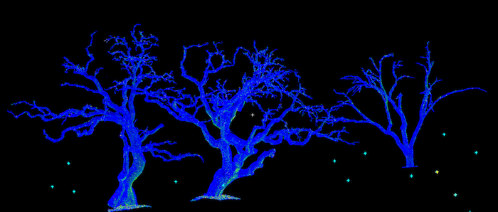 mesh of trees.png